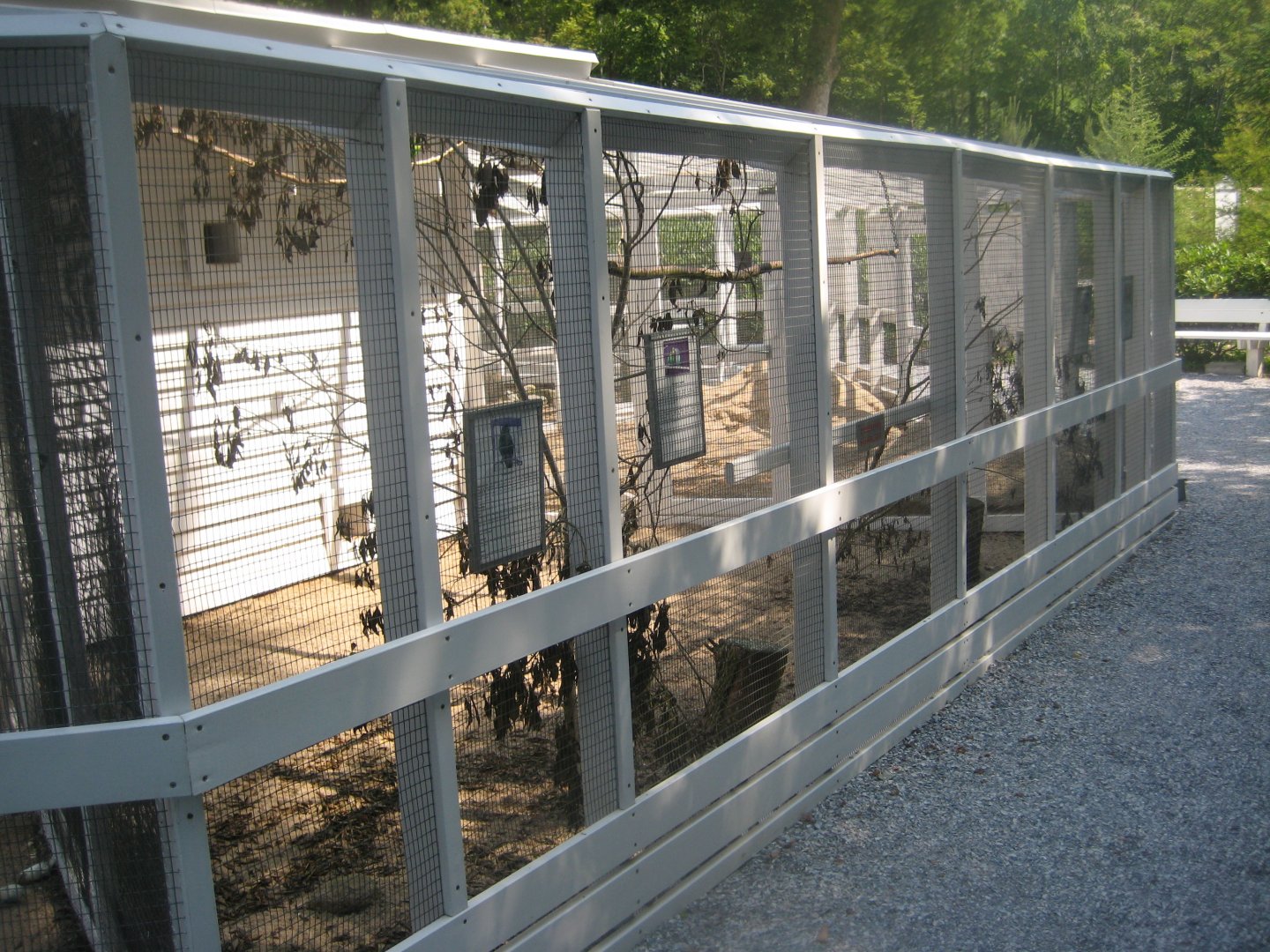 Skyttehushaven - Example of mixed parrot aviary