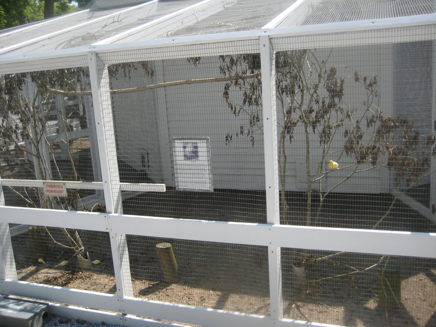 Skyttehushaven - Finch aviary