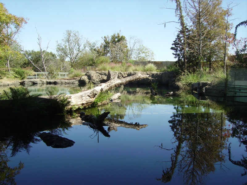 Skywater - Blue Hole Spring