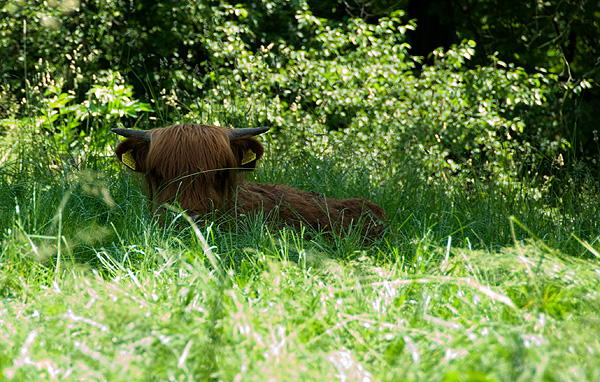 slaski ogrod zoologiczny