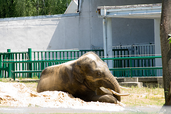 slaski ogrod zoologiczny