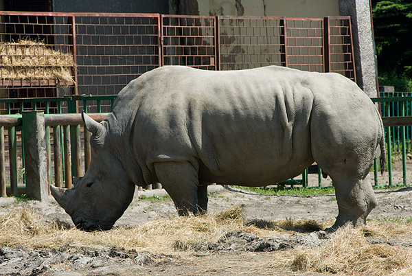 slaski ogrod zoologiczny