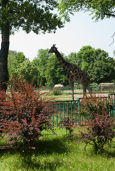 slaski ogrod zoologiczny