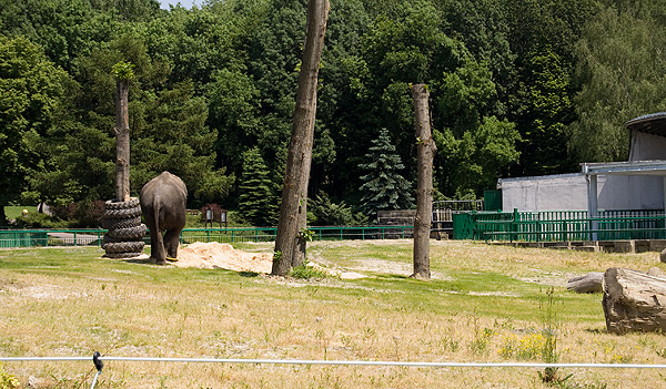 slaski ogrod zoologiczny