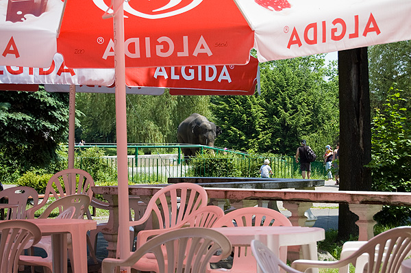 slaski ogrod zoologiczny