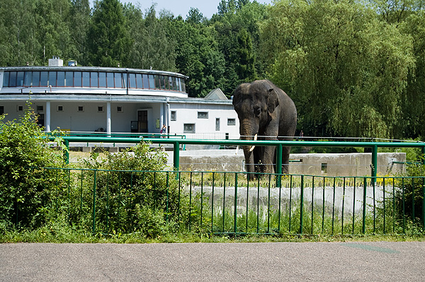 slaski ogrod zoologiczny