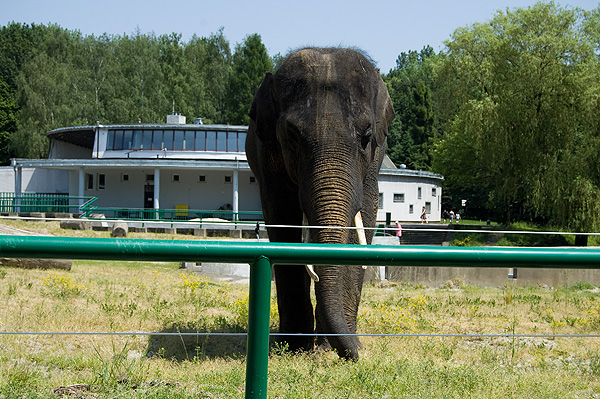 slaski ogrod zoologiczny