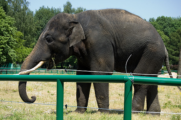 slaski ogrod zoologiczny