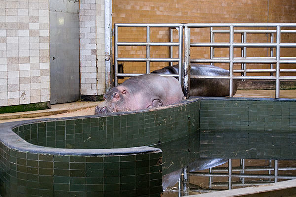 slaski ogrod zoologiczny