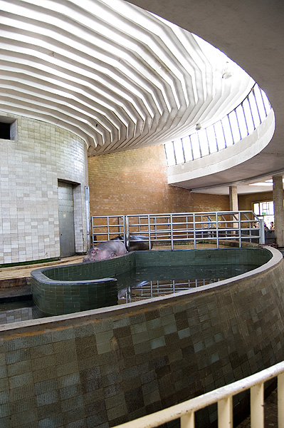 slaski ogrod zoologiczny