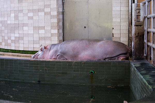 slaski ogrod zoologiczny