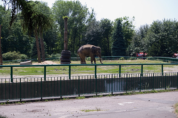 slaski ogrod zoologiczny