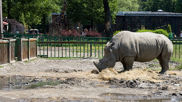 slaski ogrod zoologiczny