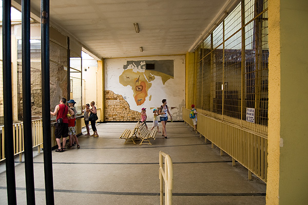 slaski ogrod zoologiczny