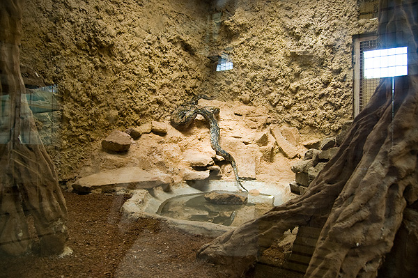 slaski ogrod zoologiczny