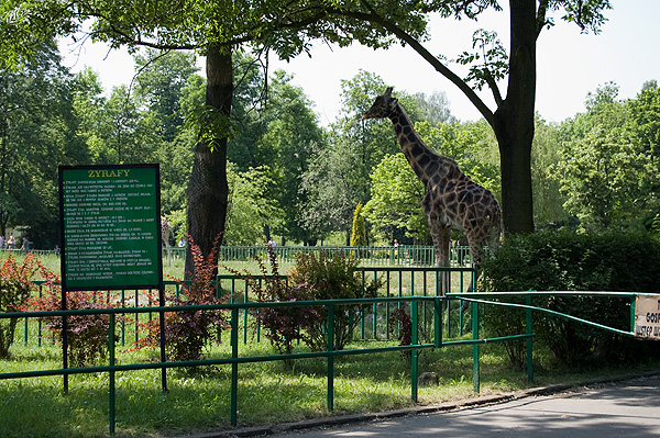 slaski ogrod zoologiczny