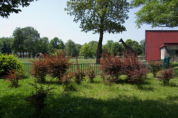 slaski ogrod zoologiczny