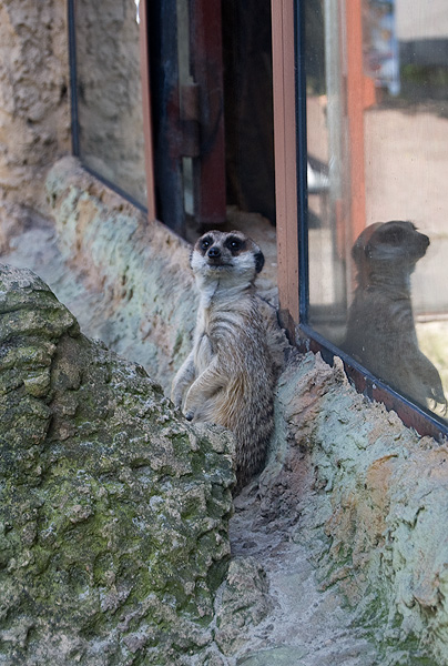 slaski ogrod zoologiczny