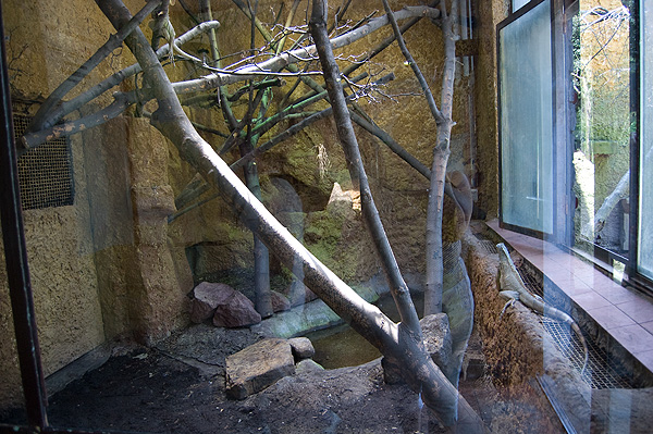 slaski ogrod zoologiczny