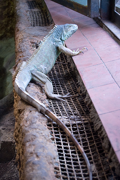 slaski ogrod zoologiczny