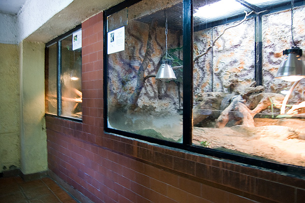 slaski ogrod zoologiczny