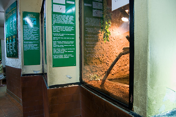 slaski ogrod zoologiczny