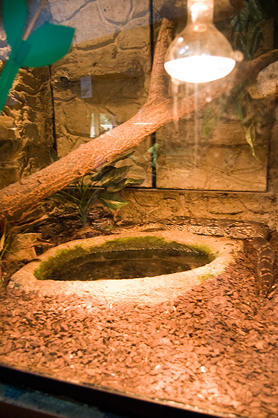 slaski ogrod zoologiczny