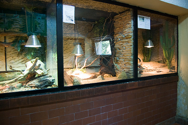 slaski ogrod zoologiczny