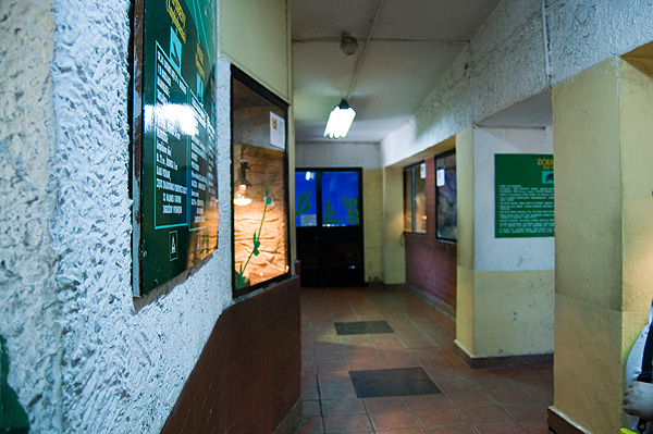 slaski ogrod zoologiczny