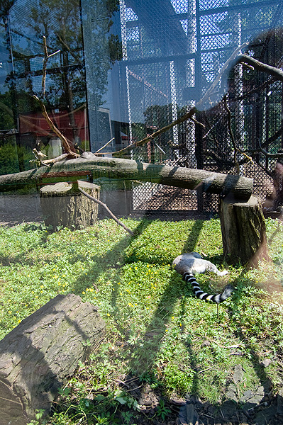 slaski ogrod zoologiczny