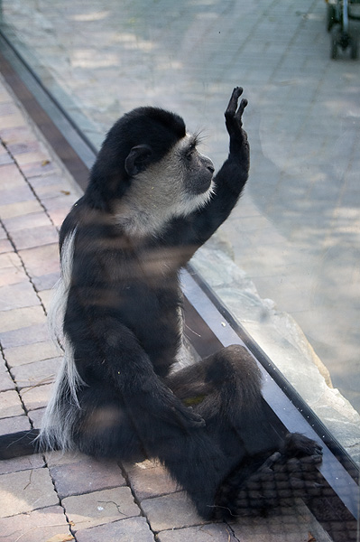 slaski ogrod zoologiczny