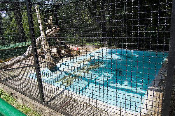 slaski ogrod zoologiczny