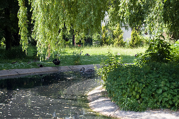 slaski ogrod zoologiczny