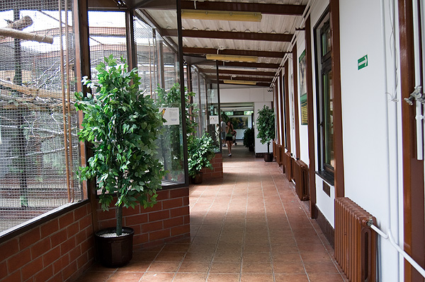 slaski ogrod zoologiczny