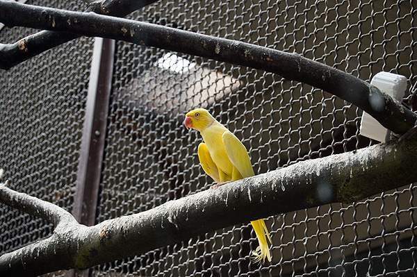 slaski ogrod zoologiczny