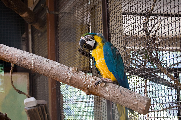 slaski ogrod zoologiczny