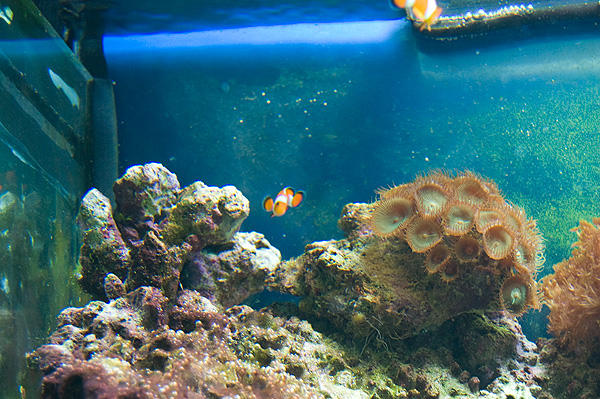 slaski ogrod zoologiczny