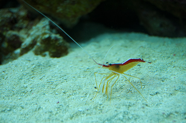 slaski ogrod zoologiczny