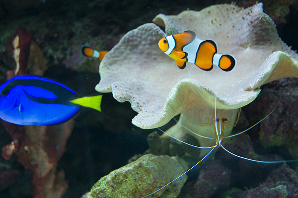 slaski ogrod zoologiczny