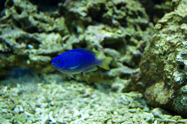 slaski ogrod zoologiczny