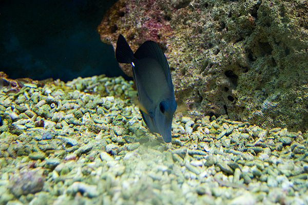 slaski ogrod zoologiczny