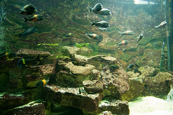 slaski ogrod zoologiczny