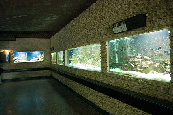 slaski ogrod zoologiczny