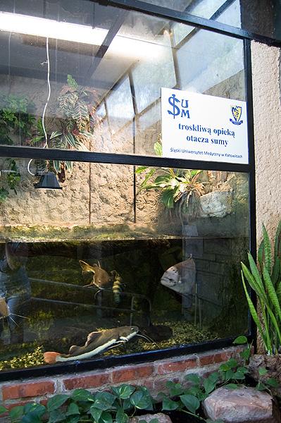 slaski ogrod zoologiczny