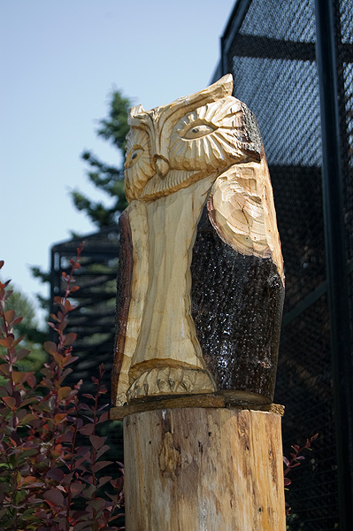 slaski ogrod zoologiczny