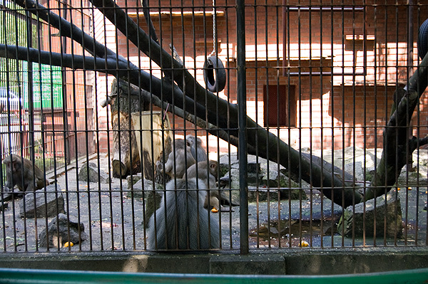 slaski ogrod zoologiczny