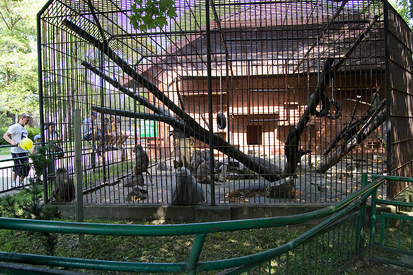 slaski ogrod zoologiczny