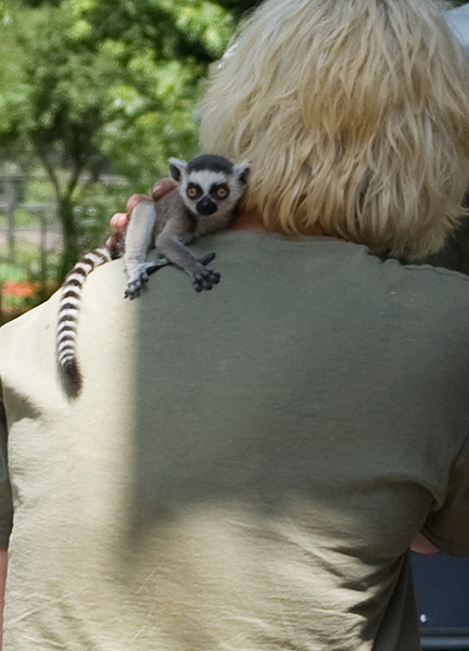 slaski ogrod zoologiczny