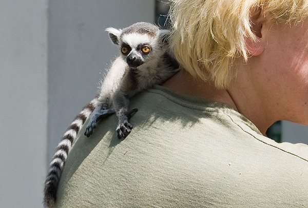 slaski ogrod zoologiczny