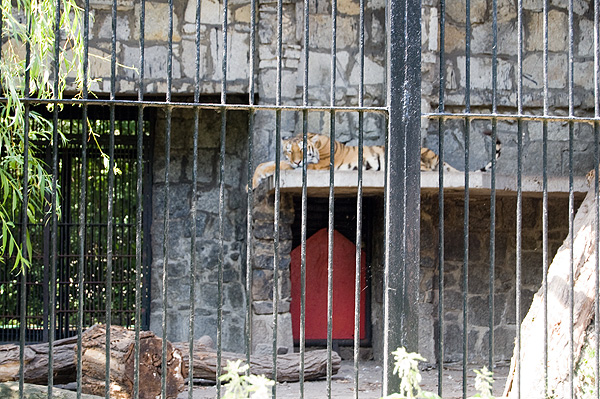 slaski ogrod zoologiczny